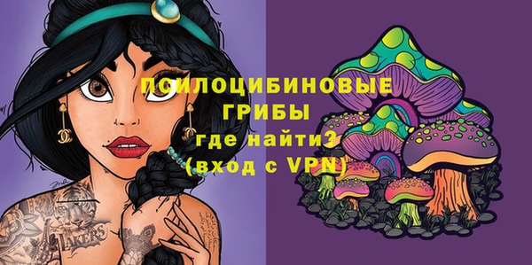бутират Аркадак