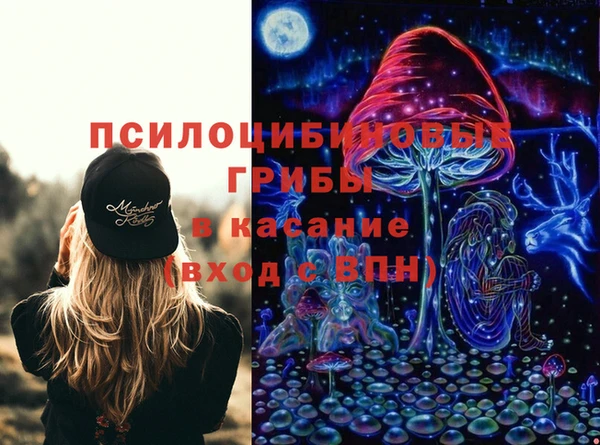 прущая мука Арсеньев